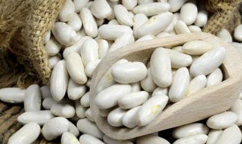 propiedades nutricionales del alimento Alubia blanca
