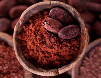 propiedades nutricionales del alimento Cacao puro en polvo
