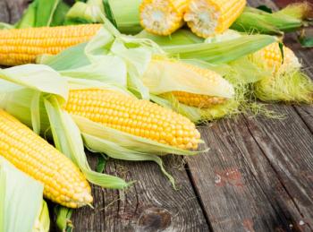 propiedades nutricionales del alimento Maiz