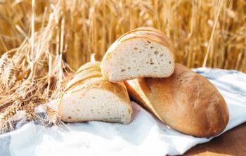 Foto del ingrediente Pan blanco de trigo (Rallado)