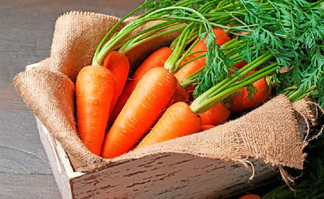 Propiedades nutricionales: Zanahoria