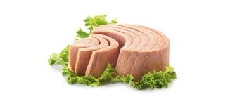 Propiedades del atÃƒÂºn