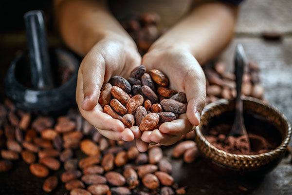 beneficios del cacao