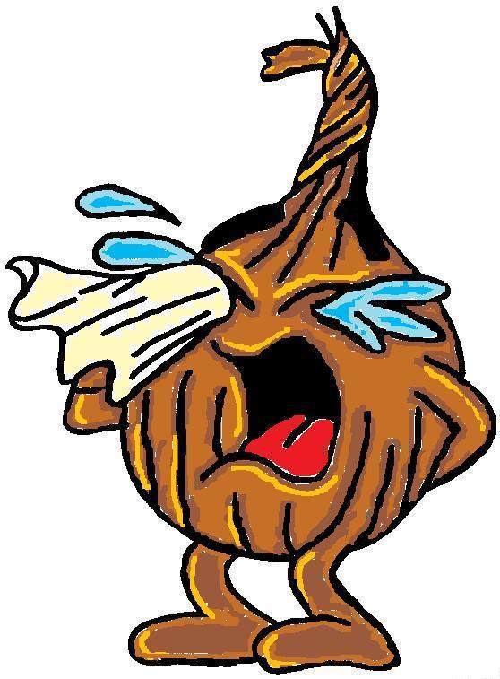 Propiedades nutricionales de la Cebolla