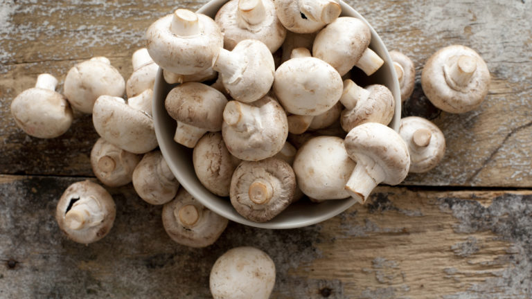 propiedades e informacion nutricional de los champinones