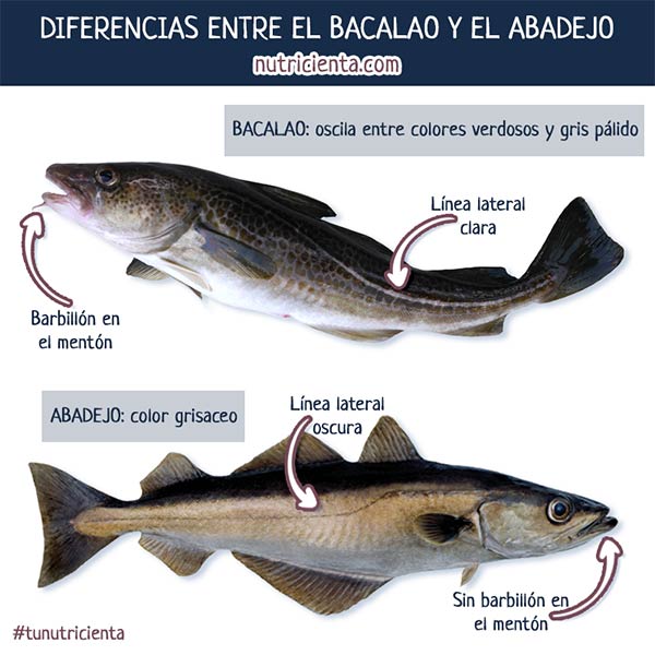diferencias entre el bacalao y el abadejo