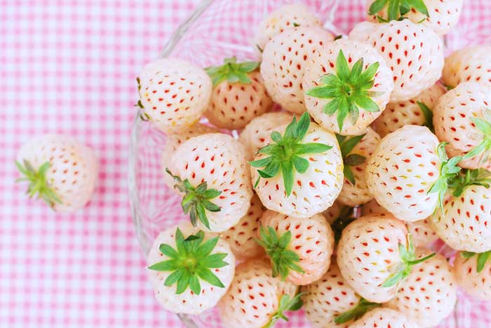 fresas blancas