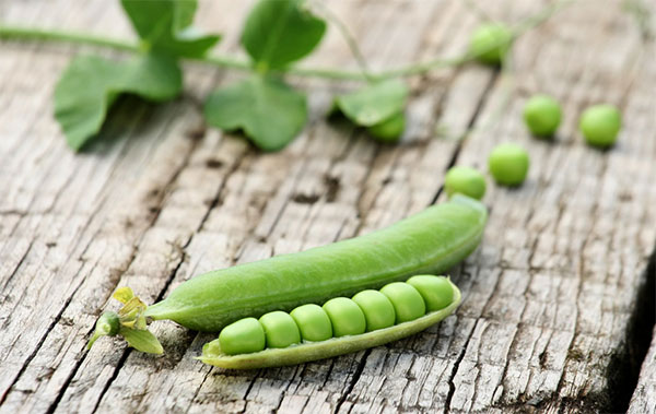 informaciÃƒÂƒÃ‚Â³n nutricional y propiedades de los guisantes, chÃƒÂƒÃ‚Â­charos o arvejas por nutricienta