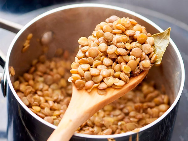 propiedades e informacion nutricional de las lentejas cocidas