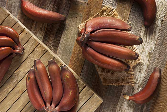 informacion nutricional del platano 4