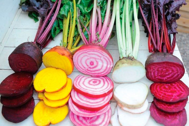 propiedades e informaciÃƒÂƒÃ‚ÂƒÃƒÂ‚Ã‚ÂƒÃƒÂƒÃ‚Â‚ÃƒÂ‚Ã‚ÂƒÃƒÂƒÃ‚ÂƒÃƒÂ‚Ã‚Â‚ÃƒÂƒÃ‚Â‚ÃƒÂ‚Ã‚Â³n nutricional de la remolacha por nutricienta