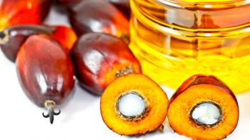 Aceite de palma, ¿es cierta su mala fama?