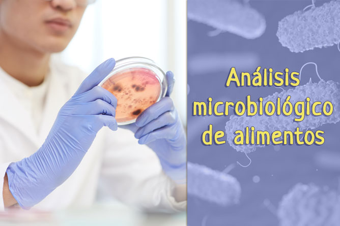 Análisis microbiológico de alimentos