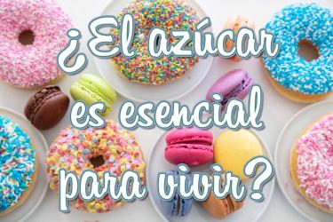 foto del artículo de Azúcares simples y complejos: denominaciones, fuentes y funciones.