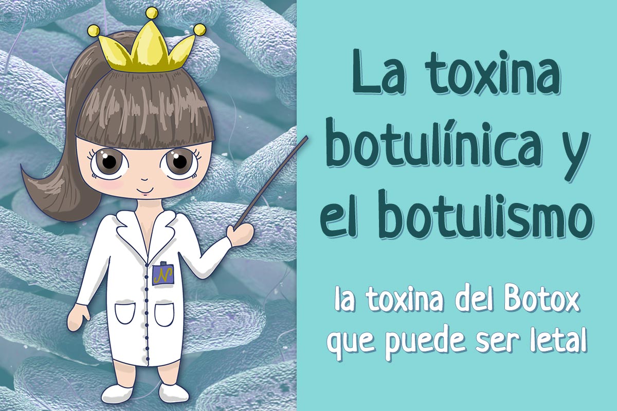 Clostridium, botox y la toxina botulínica