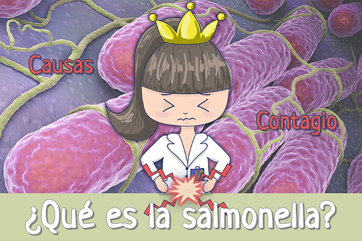 Qué es la salmonella: Síntomas y contagio