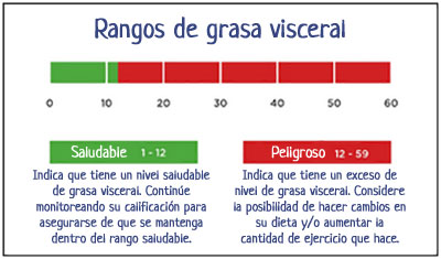 Registro Eléctrico asignar Grasa Visceral: Conoce el índice de grasa visceral y su nivel ideal