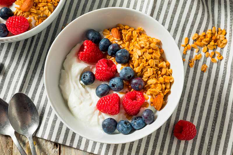 receta de yogur natural en robot de cocina